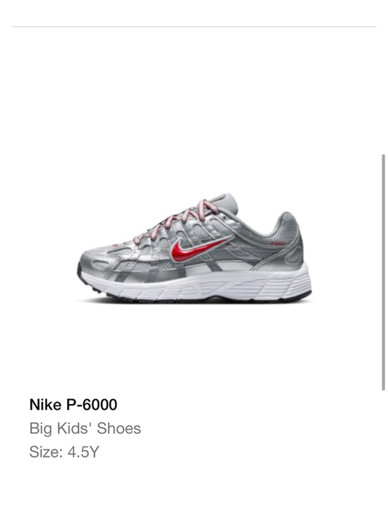 Nike Other - Nike P-6000 kids 4.5 silver Nike shoes